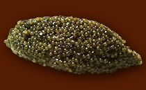 asetra_image