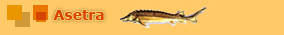 asetra_title